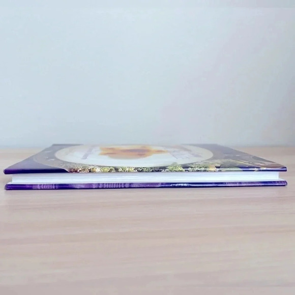 Creme Brulee And Other Custard Desserts Hardcover Recipe Book Vintage 1998 - Picture 10 of 12